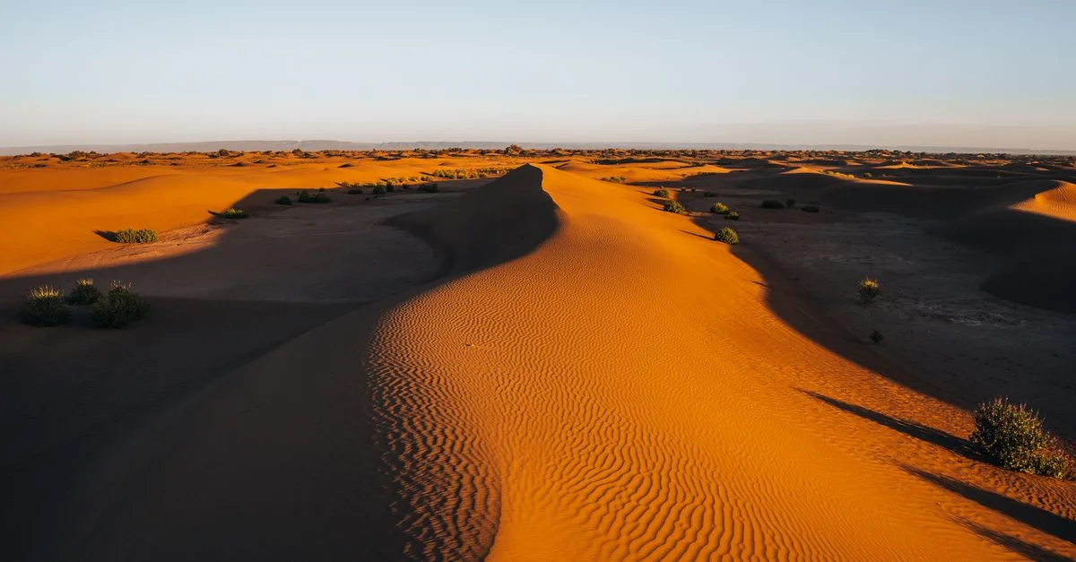 Sunlit sand dunes in the Moroccan Sahara casting long shadows at dusk.