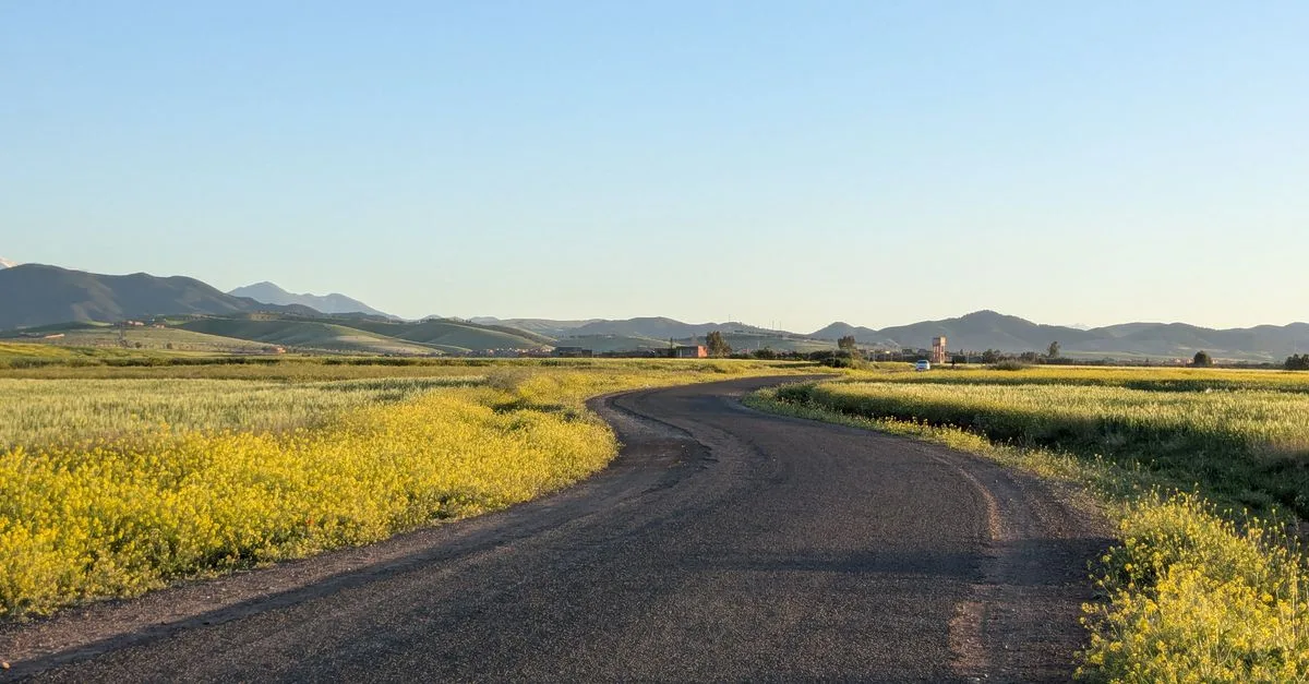 A winding road through yellow fields and mountains in Marrakesh, Morocco, under a clear evening sky.