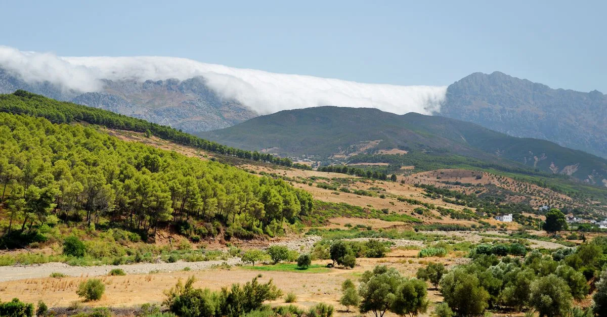 Breathtaking view of Chefchaouen's lush valleys and majestic mountains under a clear sky.