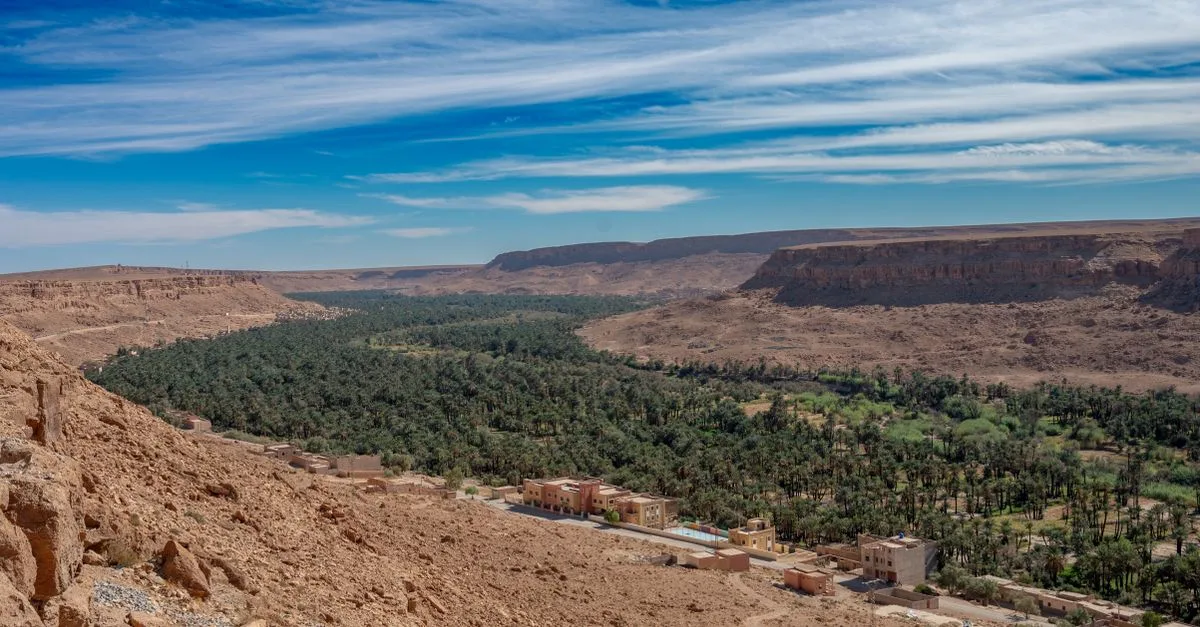 Scenic view of an oasis and desert landscape in Errachidia, Morocco, under a clear blue sky.
