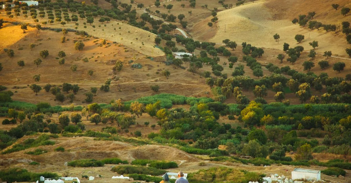 Back view of distant unrecognizable couple standing on hillside near green fields with lush shrubs in rural terrain in nature