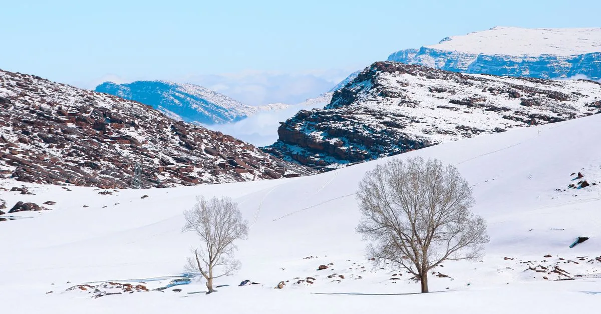 Beautiful winter scene in Oukaïmeden, Morocco, showcasing snow-covered mountains and trees.