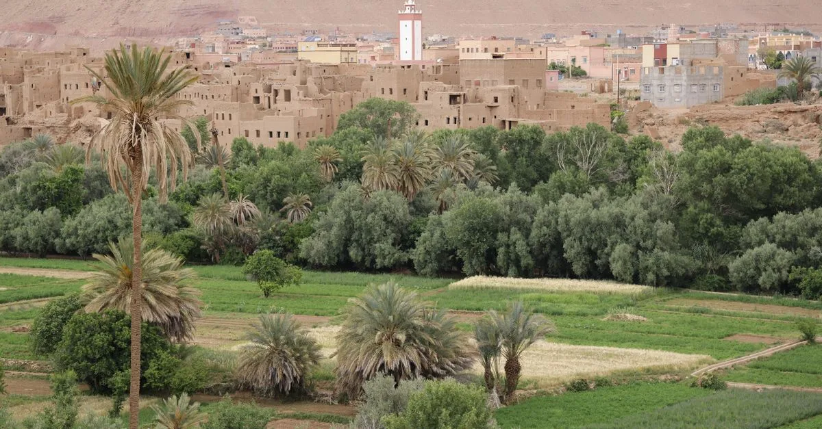 A picturesque Moroccan town with traditional buildings surrounded by lush palm trees and greenery.